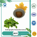 Andrographis Paniculata экстракт порошок 98% андрографлид